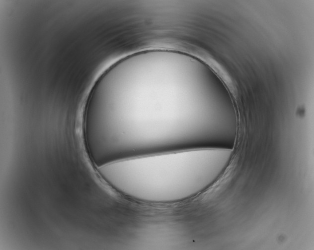 X0000102820862200808181023
