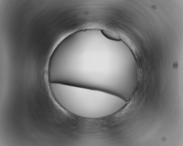 X0000102820863200808181023