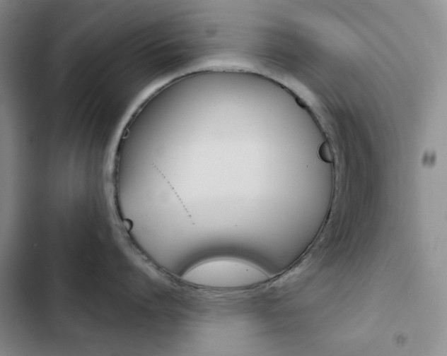 X0000102820864200808181023
