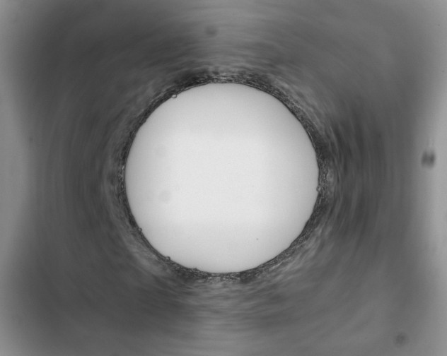 X0000102820865200808181022