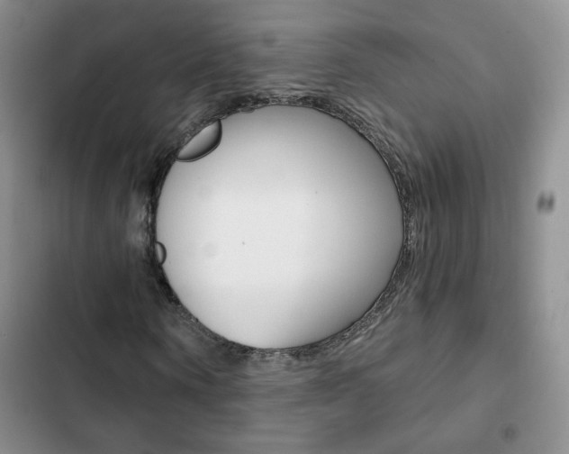 X0000102820866200808181022