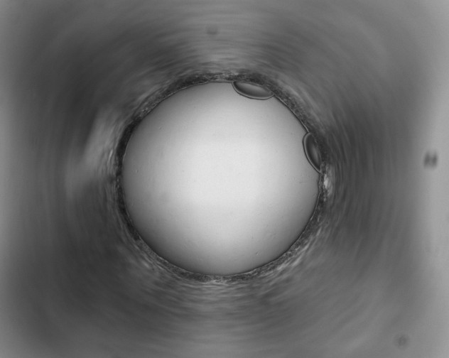 X0000102820867200808181022