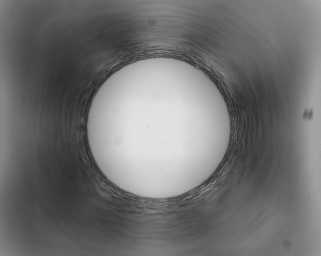 X0000102820868200808181022
