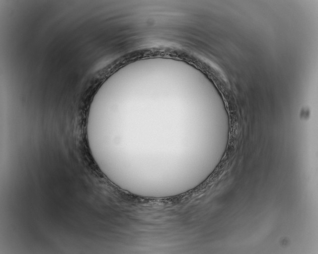 X0000102820869200808181022