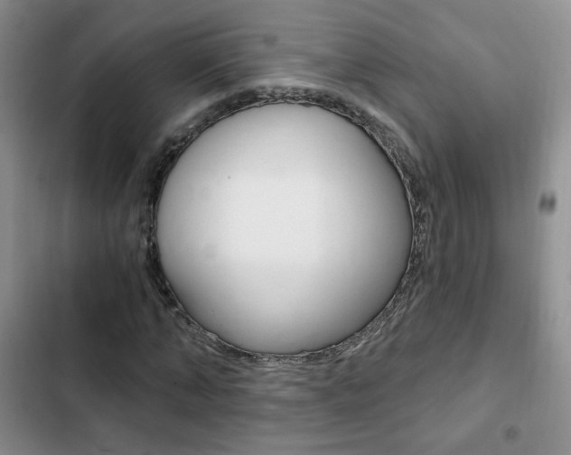 X0000102820870200808181022