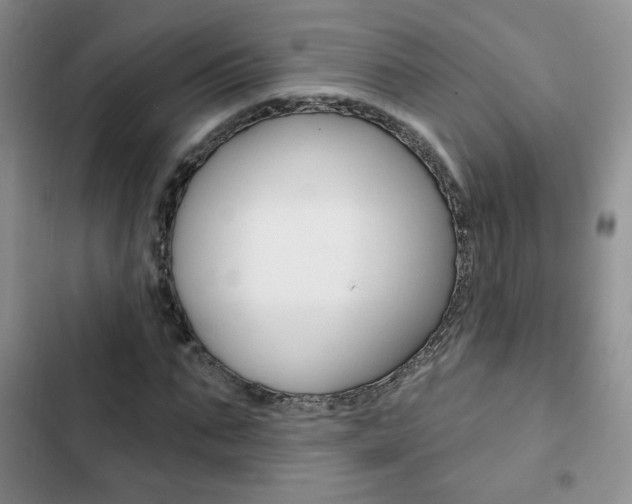 X0000102820871200808181022