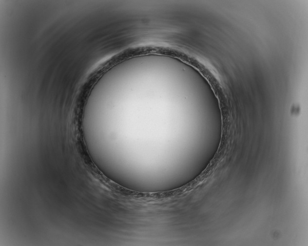 X0000102820872200808181022