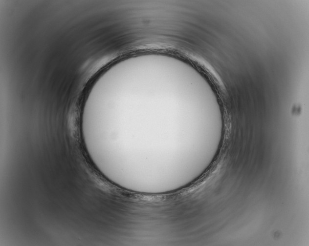 X0000102820874200808181022