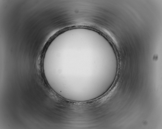 X0000102820875200808181022