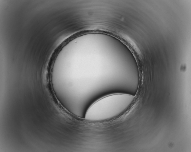 X0000102820876200808181022