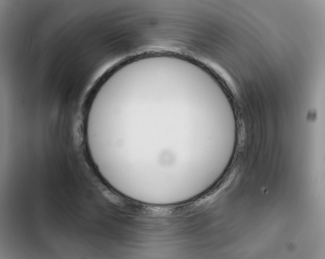 X0000102820878200808181022