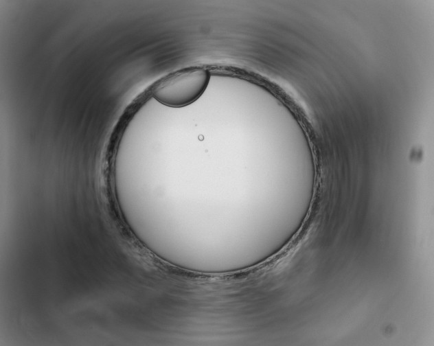 X0000102820879200808181022