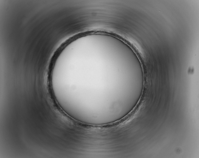 X0000102820880200808181022