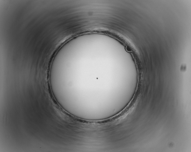 X0000102820881200808181022
