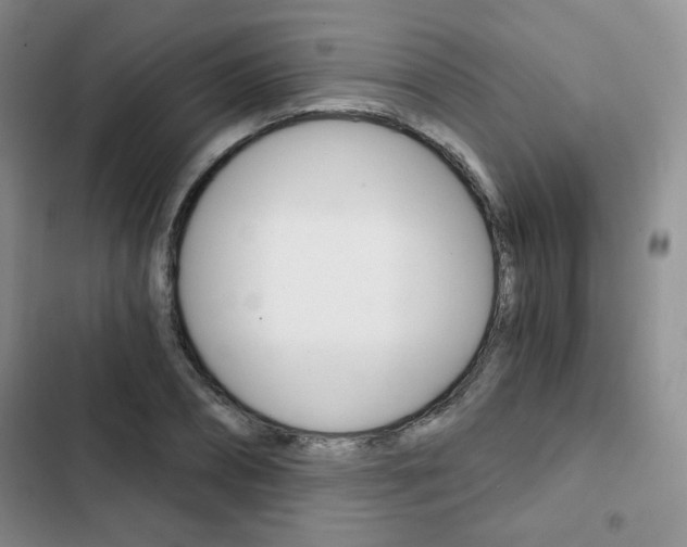 X0000102820882200808181022