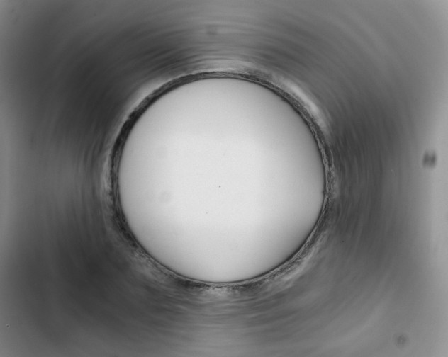 X0000102820883200808181022