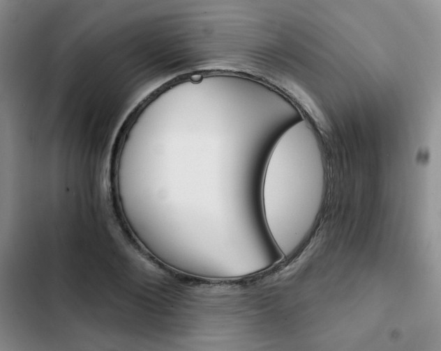 X0000102820884200808181022