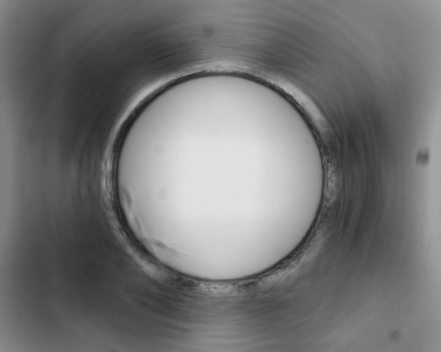 X0000102820886200808181022