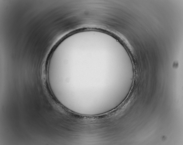 X0000102820887200808181022