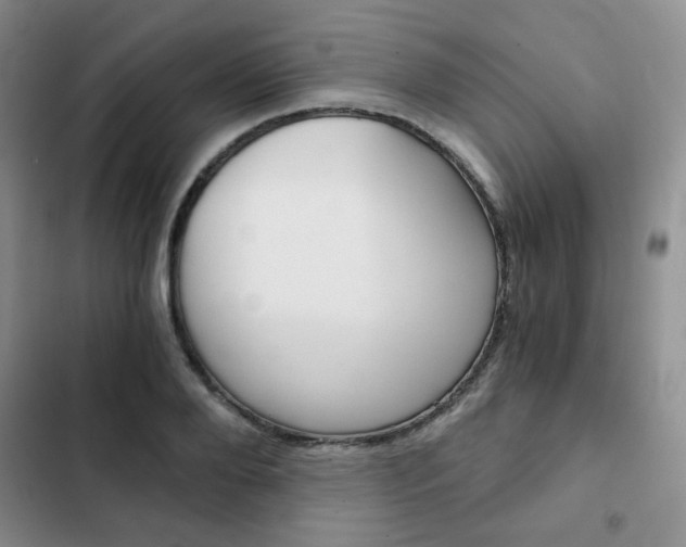 X0000102820888200808181022