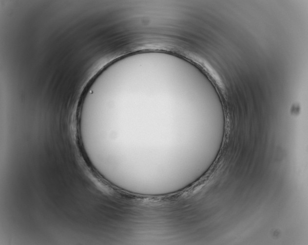 X0000102820890200808181022