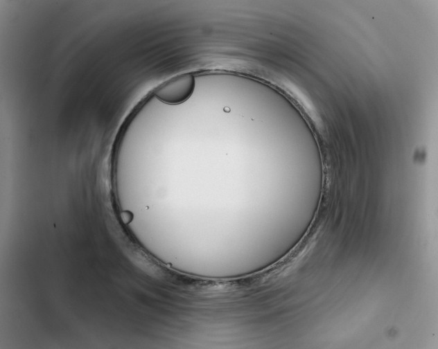X0000102820891200808181022