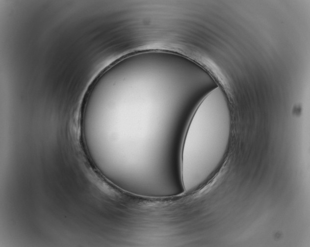 X0000102820892200808181022