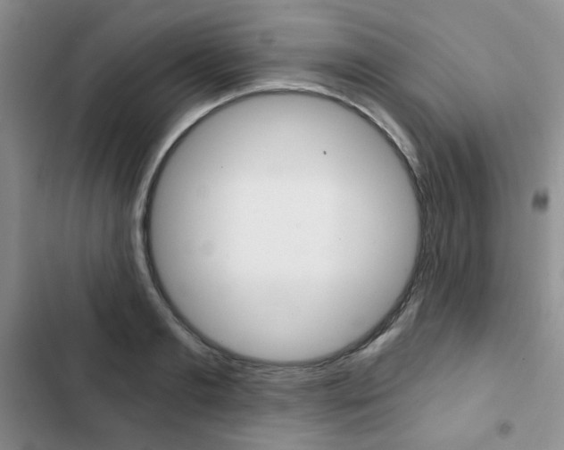 X0000102820893200808181022
