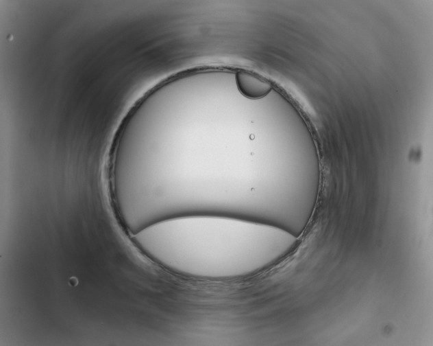 X0000102820895200808181022