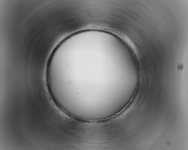 X0000102820896200808181022