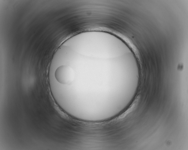 X0000102820897200808181022