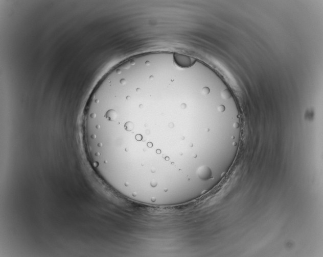 X0000102820899200808181022