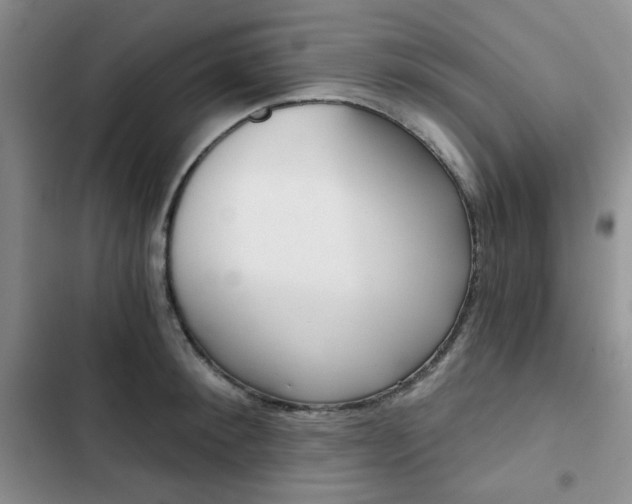 X0000102820900200808181022