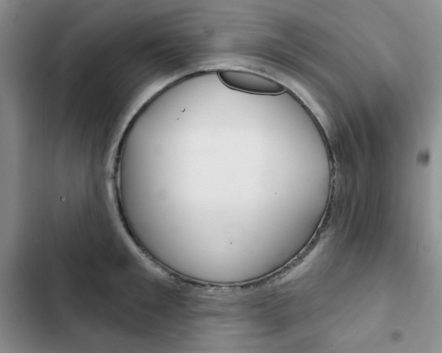 X0000102820901200808181022