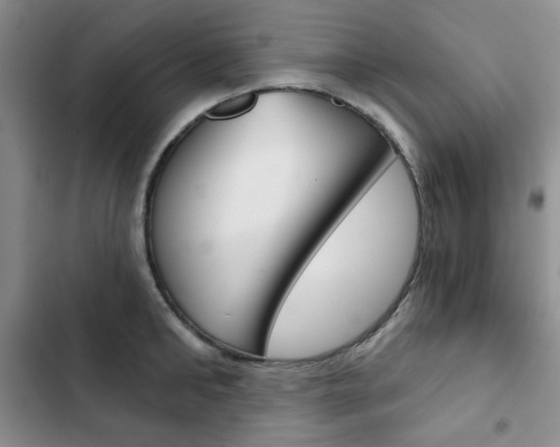 X0000102820902200808181022