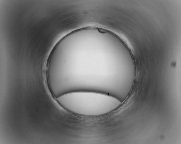 X0000102820903200808181022