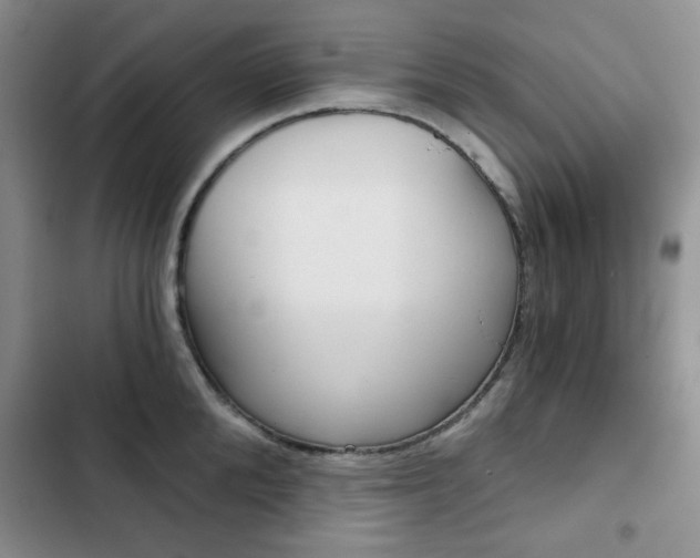 X0000102820904200808181022