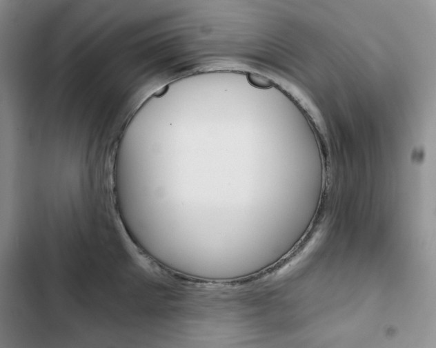 X0000102820905200808181022