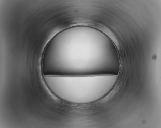 X0000102820906200808181022