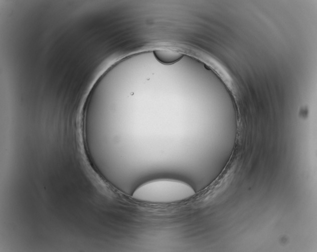 X0000102820907200808181022