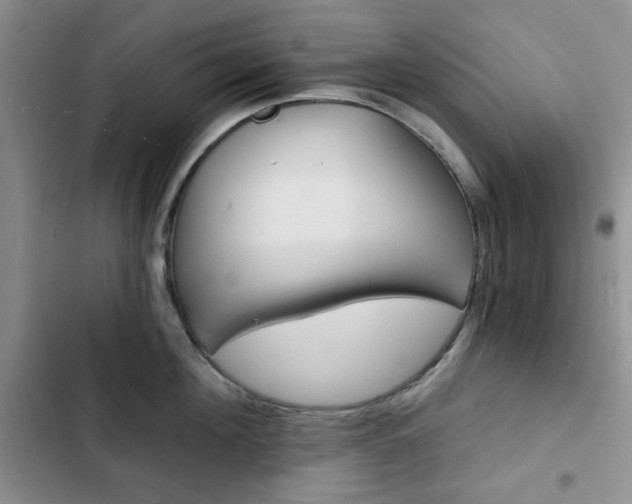 X0000102820908200808181022