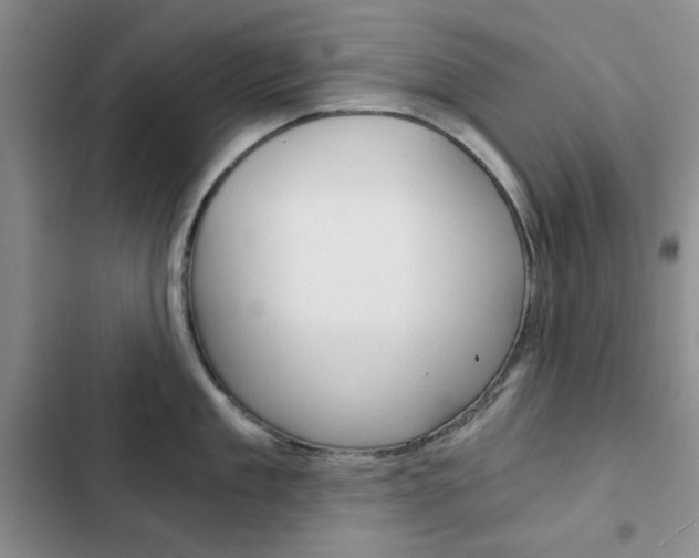 X0000102820909200808181022
