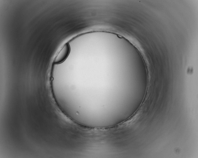 X0000102820912200808181022