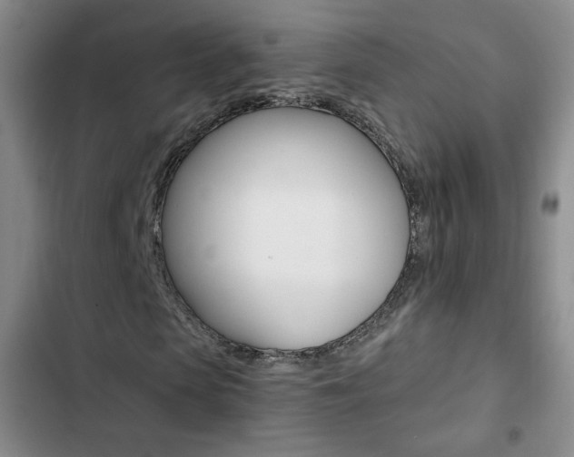 X0000102820913200808181021