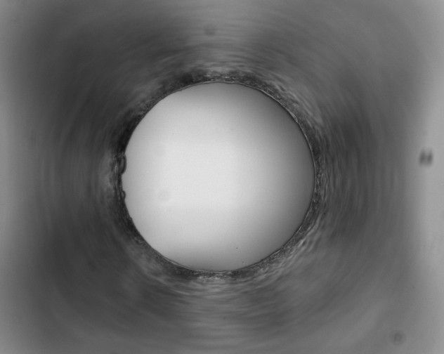 X0000102820914200808181021