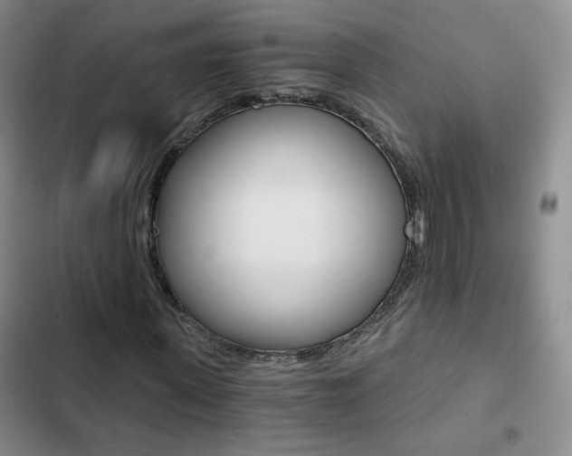 X0000102820915200808181021