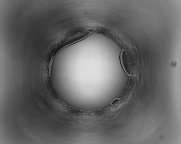 X0000102820916200808181021