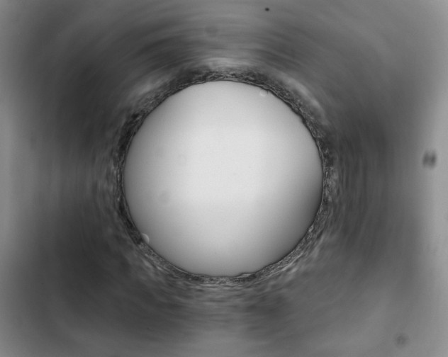 X0000102820917200808181021