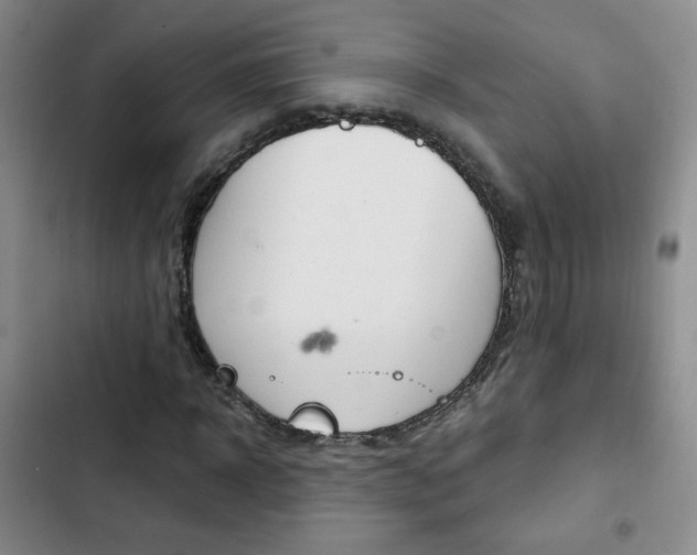 X0000102820918200808181021
