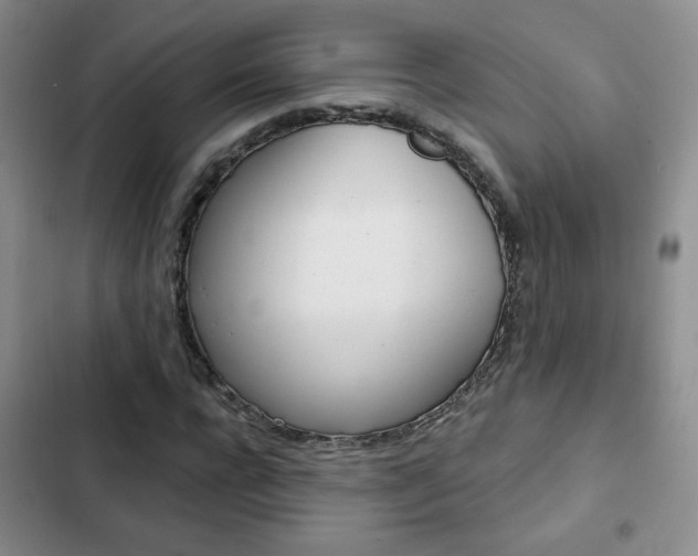 X0000102820920200808181021